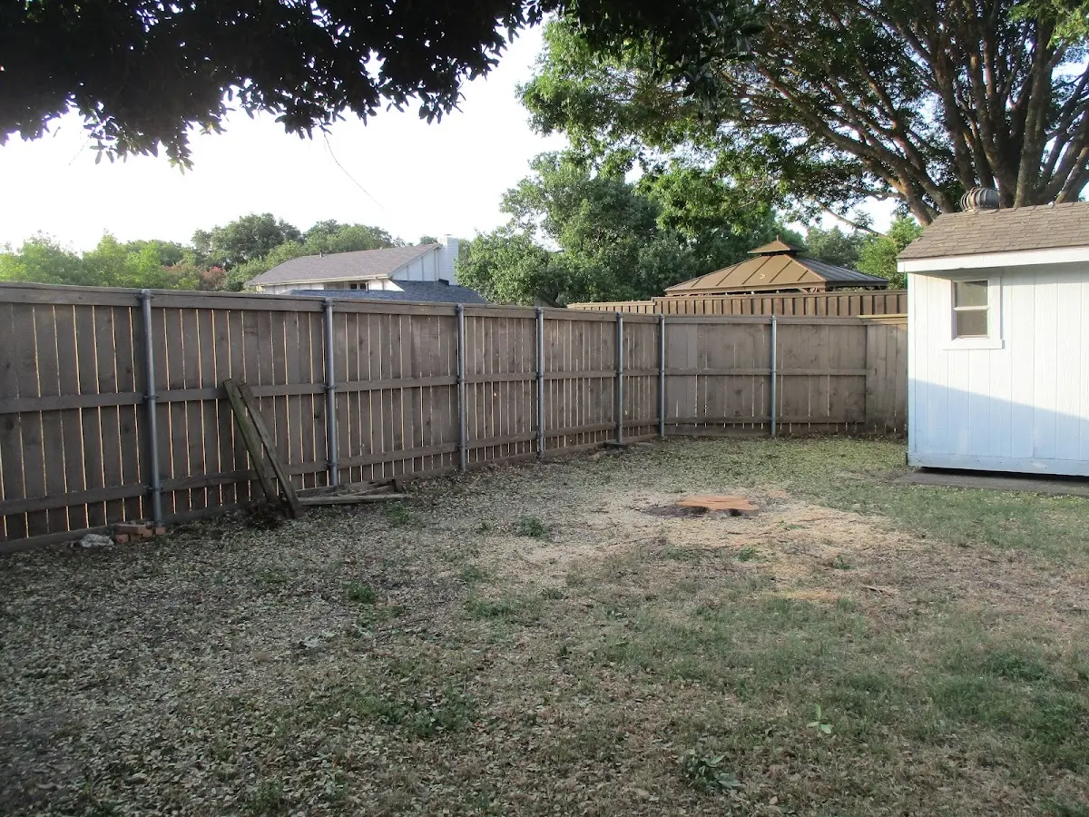 Cleared yard after professional tree removal in Thompsontown