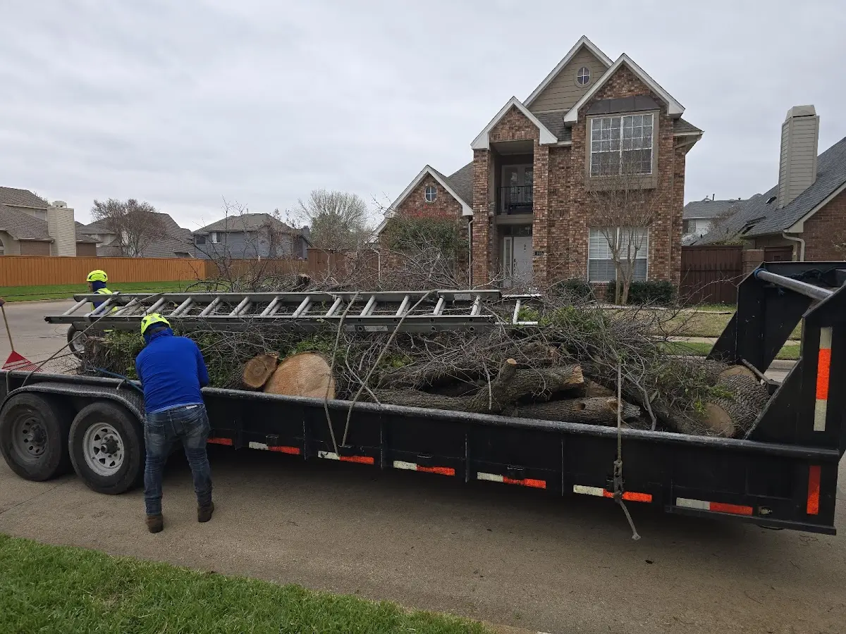 Expert Tree Removal with proper safety equipment in Thompsontown